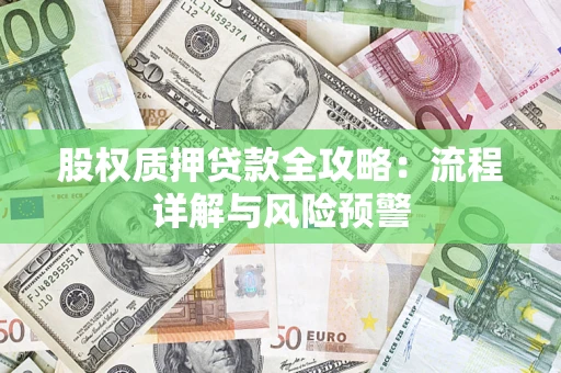 北京股权质押贷款全攻略：流程详解与风险预警