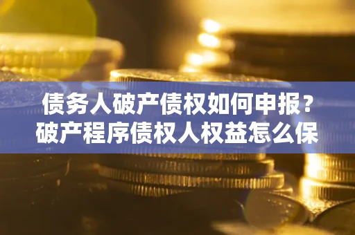 北京债务人破产债权如何申报？破产程序债权人权益怎么保障？