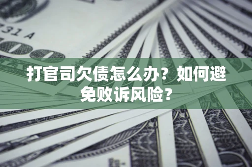 北京打官司欠债怎么办？如何避免败诉风险？
