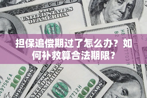 北京担保追偿期过了怎么办？如何补救算合法期限？