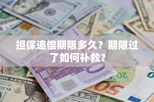 北京担保追偿期限多久？期限过了如何补救？