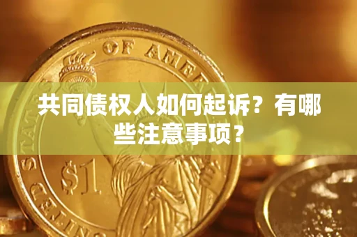 北京共同债权人如何起诉？有哪些注意事项？